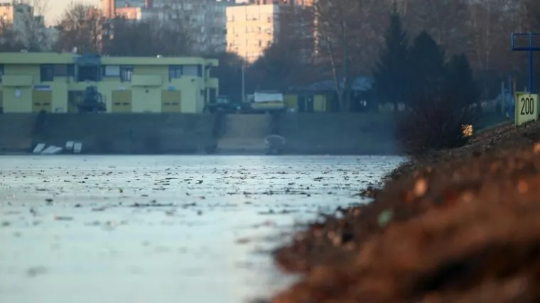 Monstruozan čin na zagrebačkom Jarunu: nepoznati počinitelj utopio psa u jezeru