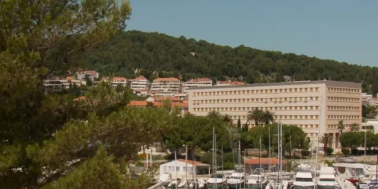 I na društvenim mrežama 'in' je biti katolik: 'Rekao sam, boli me đon!'