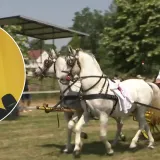Milanović o djedu, djetinjstvu i prvom jahanju: 'S deset godina, kroz Sinjsko polje...'
