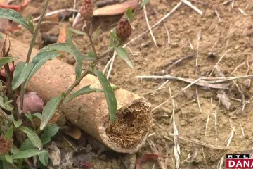 Istražili smo pripadaju li kosti koje vire iz zemlje u Stubičkim Toplicama seljacima poginulima u Seljačkoj buni