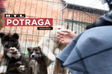 Na crno križaju pse i prodaju ih preko oglasnika! Potraga skrivenom kamerom snimila ilegalno leglo