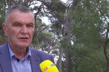 Vukovi sve češći gosti u naseljenim područjima: 'Skupljat ćemo uzorke izmeta da izbrojimo koliko ih ima u Hrvatskoj'