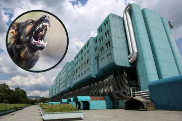 Muškarac koji je herojski obranio dijete od pomahnitalog psa, zaposlenik je KB Dubrava: 'Izgrižene su mu obje šake...'