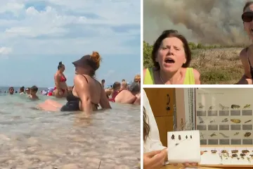 Nakaze, navodni žohari s krilima i ono što nam se ni u ratu nije dogodilo: Što je sve obilježilo ovo ljeto?