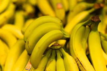 Banane skrivale vrijednu i ilegalnu tajnu: Policija se pohvalila nikad većom zapljenom