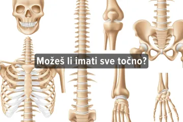 [KVIZ] Koliko znaš o ljudskim kostima?